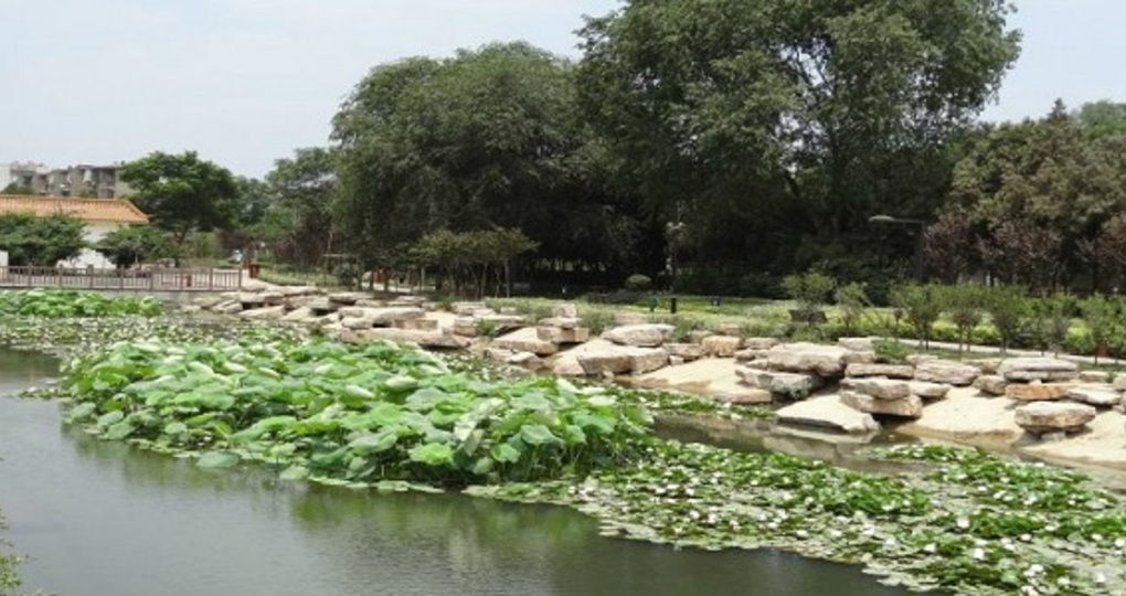 定远气预报30天_定远天气预报30天查询_定远