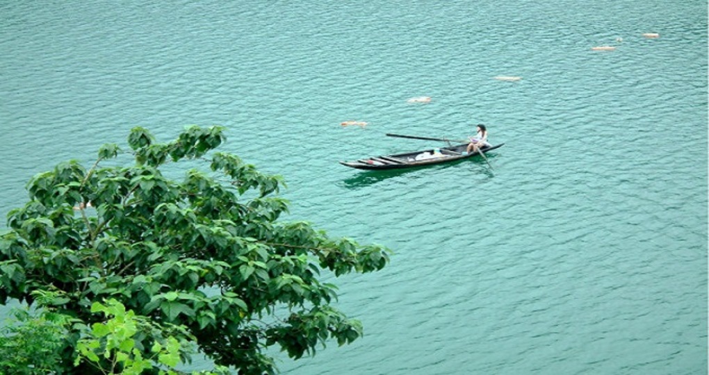 【阳新天气预报15天_阳新天气预报15天查询】