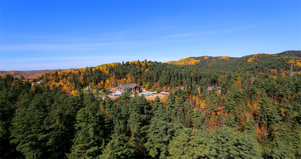【伊春天气预报10天_伊春天气预报10天查询】