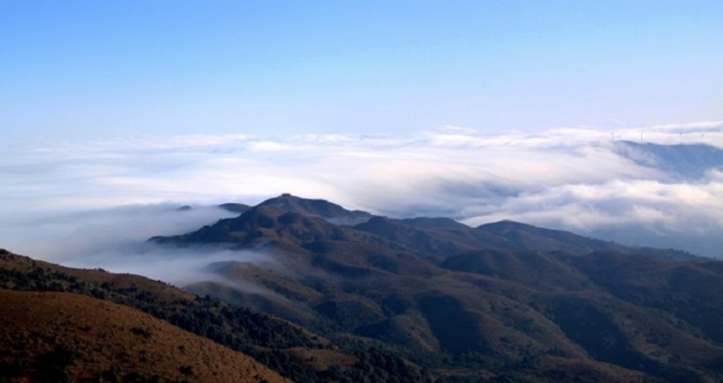 【信宜天气预报15天_信宜天气预报15天查询】