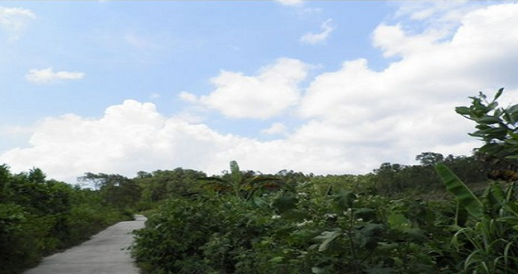 【白沙天气预报15天_白沙天气预报15天查询】