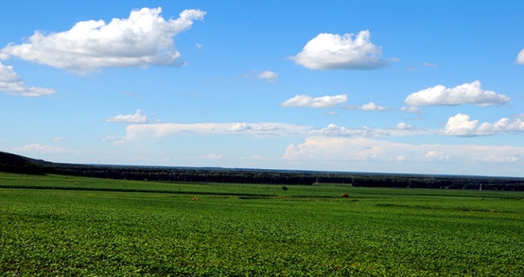 【宝清天气预报15天_宝清天气预报15天查询】