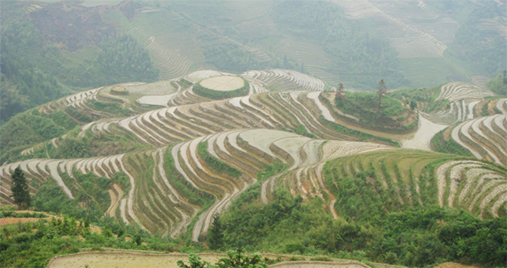 龙胜气预报30天_龙胜天气预报30天查询_龙胜