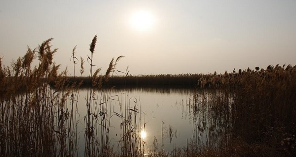 【农安天气预报10天_农安天气预报10天查询】