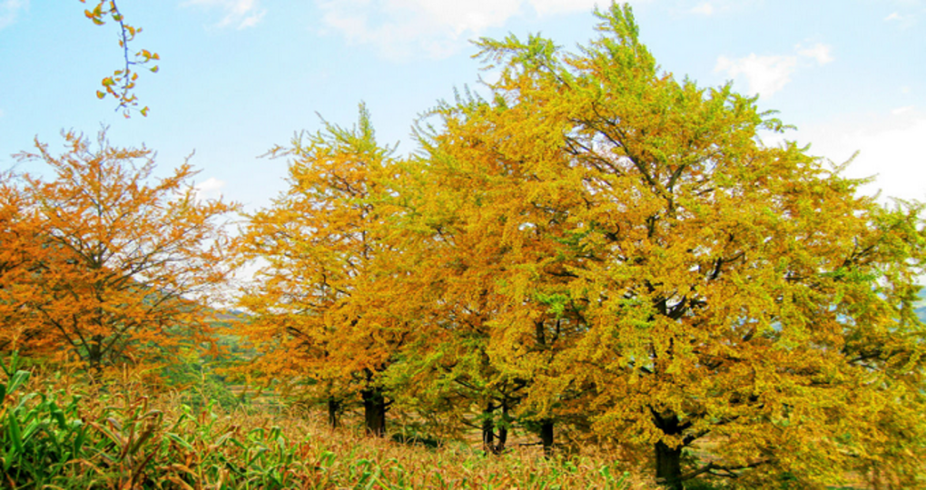 【盘县天气预报】盘县天气预报一周_盘县天气