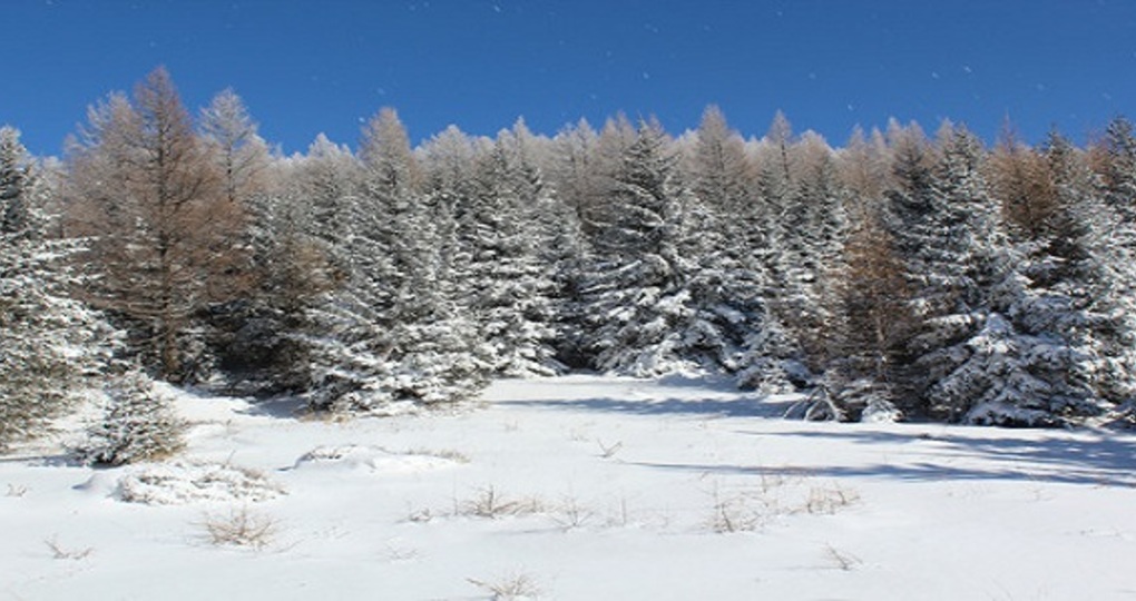 【神池天气预报】神池天气预报一周_神池天气