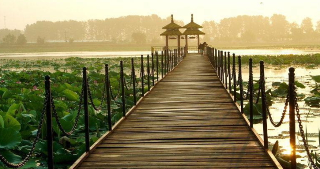 肇源气预报30天_肇源天气预报30天查询_肇源