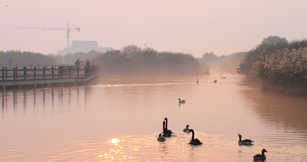 【东营河口区天气预报】河口天气预报一周_河