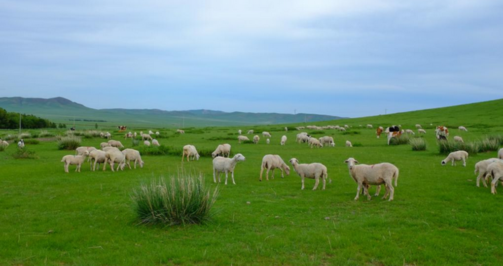 【正镶白旗天气预报】正镶白旗天气预报一周_