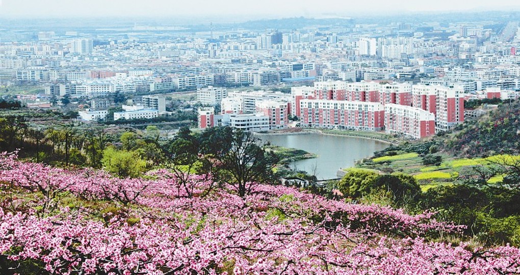 四川龙泉驿天气预告