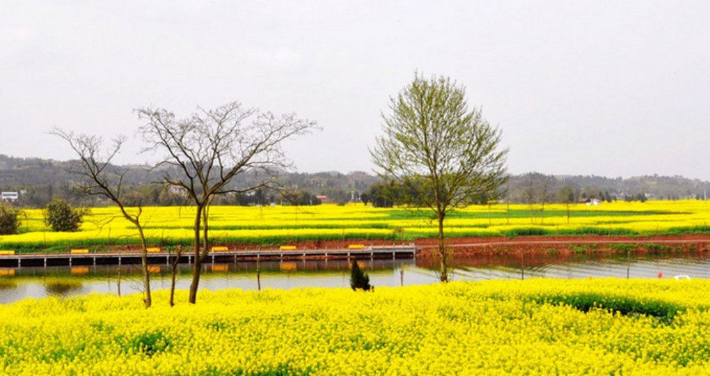 【潼南天气预报】潼南天气预报一周_潼南天气