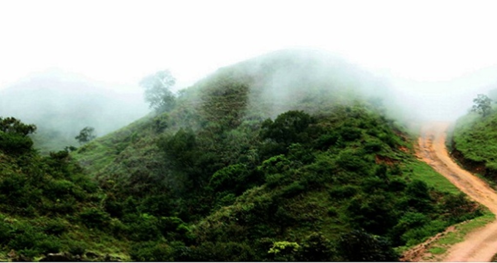 【新兴天气预报15天_新兴天气预报15天查询】