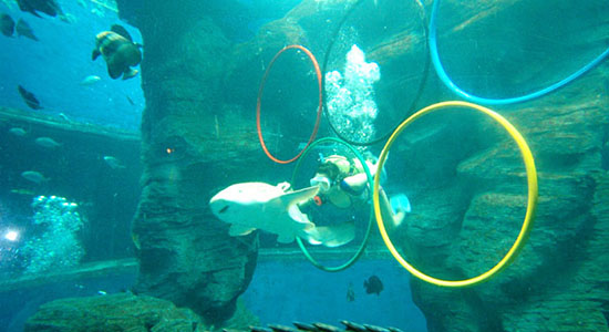 海银滩天气预报一周_北海银滩天气预报15天_