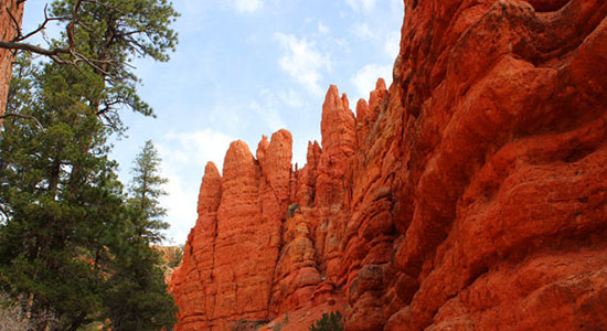 |玉屏山_玉屏山天气预报一周_玉屏山天气预报